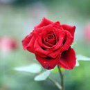 (주)미주인터내셔널 이미지