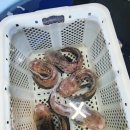 속천방파제 이미지