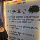 돈돼지맛돼지 | [제주도 맛집] 제주흑돼지 맛집 &#39;두툼한고기돈돼지 제주 함덕 2호점&#39;