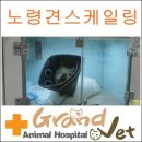 그랜드벳동물병원 이미지