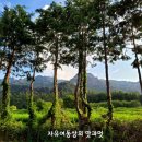 월출산기샤브