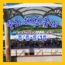 송도해변축제 | [송도해변축제 후기] 도심에서 무릎 물놀이부터 80cm 깊은 물까지! 푸드코트 먹방까지 완벽