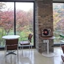 포레스트커피 | 라온포레스트커피 안동 카페 추천! 숲속 뷰 감성 대형 카페 후기