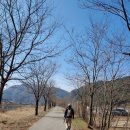 효석문학100리길 제4구간 이미지