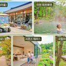 무궁화카써비스 | 2026 부모님 효도 여행지 추천: 전국 걷기 편한 곳 맛집 숙소 마스터 지도 총정리