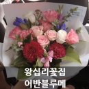 어반블루메