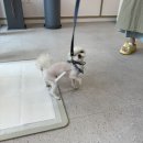 코코마리(coco mari) 이미지