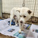 광주TNR동물병원(초월) 이미지