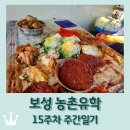 벌교5일시장 | 보성 농촌유학 15주차 주간일기 / 딸 독감 격리 해제 / 벌교 꼬막 / 김장 일손 돕기