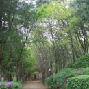 용뫼근린공원 이미지