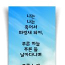 파랑새 /한하운 이미지