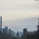 삼성병원 맞은편 | 간호학과 삼성서울병원 실습 후기