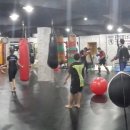 포항이종격투기 이미지