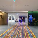 파라오 | 빛의시어터 파라오의 이집트｜서울 몰입형 전시 후기