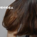 콘티헤어