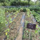 풍경공원 화장실 이미지