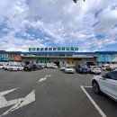 창원 내서농산물도매시장 창원일보