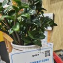가나안지압안마원 네이버블로그