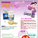 (주)지니스 Daum카페