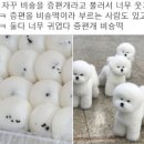 초코테이블 이미지