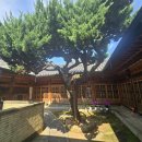 송해면-7 이미지