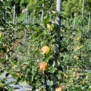 북리 경로당 이미지