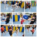 대오체육관 이미지