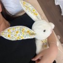 대명동왁싱샵｜" 헤이온(Hei:on) "｜대구교대역 저자극브라질리언 왁싱 추천