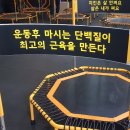 고운점핑