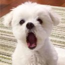 몽글몽글 이미지