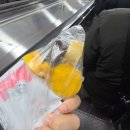 양재온한의원 | 시흥마운자로 시흥쥬비스로 누워서 6kg 빼요