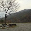 사니조아 이미지