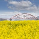 광역코스 이미지