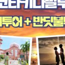 반딧불 프리미엄 이미지