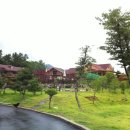 고센 펜션 이미지