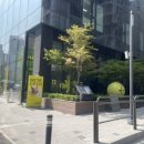 에피네 강남 네이버블로그