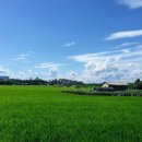 한림정역 이미지