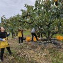 달천농장 이미지