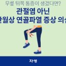 반월상 연골 파열 증상 원인 &#39;이것&#39; 때문이라면 필독 이미지