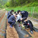 단양소백산중학교 이미지