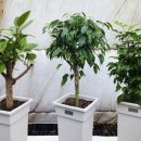 박현순 농장 이미지