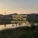 여주-1054 네이버블로그