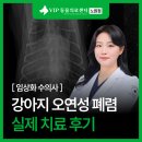 고려동물병원 | 노원구 동물병원 강아지 오연성 폐렴 치료 후기