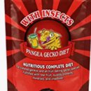 건이네 파충류 이미지