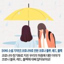 창작속 질병 설정 이미지