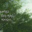 대덕문예회관 이미지