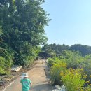 보람농장 | #공주 산딸기 체험 #공주 새터농장 산딸기 준비물