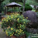 참샘농원 이미지