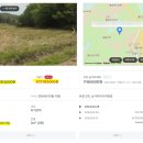 소마평농장 | 직장인 농지연금 준비 첫 단계! 준비완료! 토지 낙찰!!