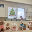 분도유치원 이미지